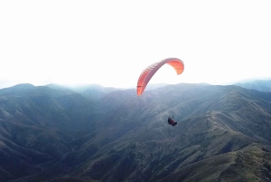 Mendoza: Paragliding Tandem Flight with Instructor