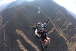 Mendoza: Paragliding Tandem Flight with Instructor