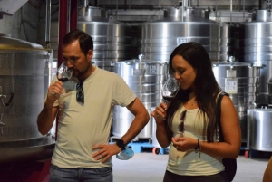 Mendoza: personalized tour to taste wines, beers and liquors