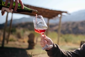 Mendoza: Potrerillos Culinary Experience w/ Wine by Chirivia