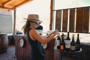 Mendoza: Potrerillos Culinary Experience w/ Wine by Chirivia