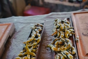 Mendoza: Potrerillos Culinary Experience w/ Wine by Chirivia
