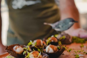 Mendoza: Potrerillos Culinary Experience w/ Wine by Chirivia