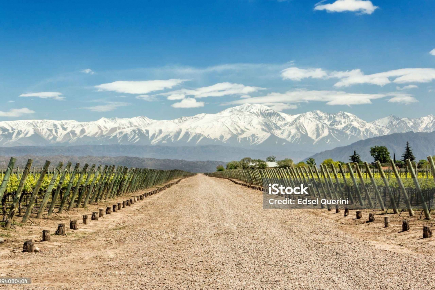 Mendoza- Private Driver With modern Car- Make your Own tour.