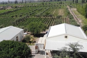 Mendoza: Private Tour, Verkostungen und Mittagessen mit Weinbegleitung