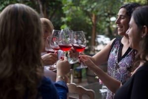 Mendoza: Privat vintur, vinsmaking og lunsj med tilbehør
