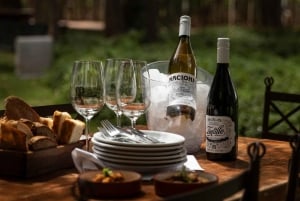 Mendoza : Visite privée des vignobles, dégustations et déjeuner avec accompagnement