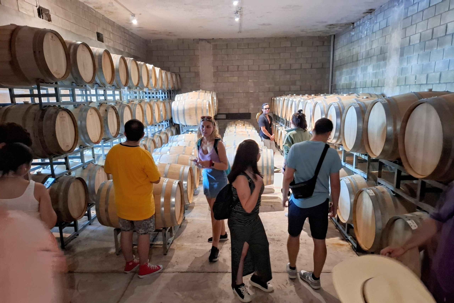 Мендоса: частный тур по винодельням с завтраком, игрой по смешиванию и обедом