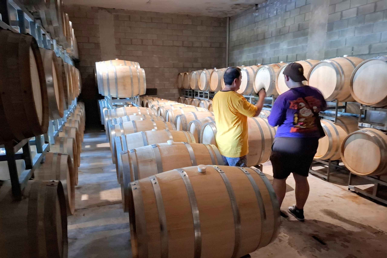 Мендоса: частный тур по винодельням с завтраком, игрой по смешиванию и обедом