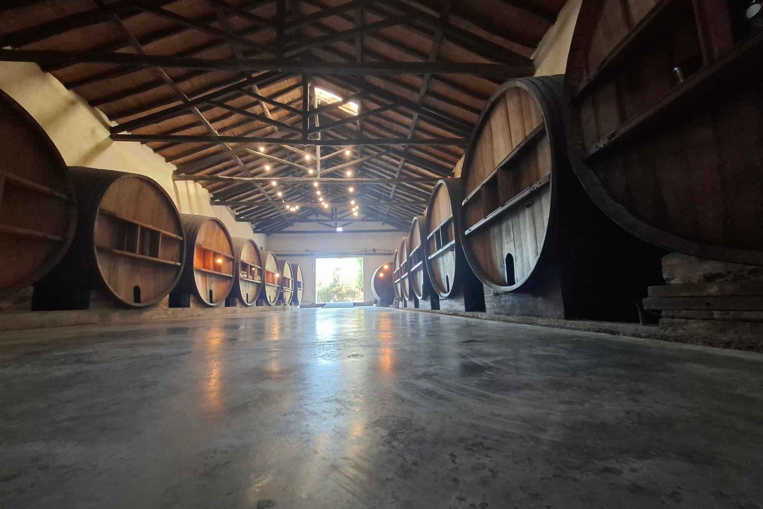 Мендоса: частный тур по винодельням с завтраком, игрой по смешиванию и обедом