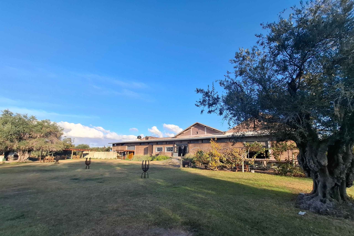 Мендоса: частный тур по винодельням с завтраком, игрой по смешиванию и обедом