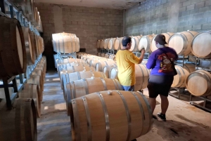 Мендоса: частный тур по винодельням с завтраком, игрой по смешиванию и обедом