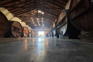 Мендоса: частный тур по винодельням с завтраком, игрой по смешиванию и обедом