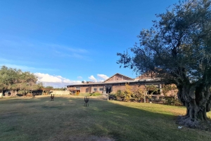 Мендоса: частный тур по винодельням с завтраком, игрой по смешиванию и обедом