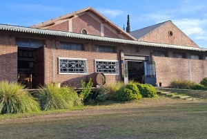 Мендоса: частный тур по винодельням с завтраком, игрой по смешиванию и обедом