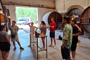 Мендоса: частный тур по винодельням с завтраком, игрой по смешиванию и обедом