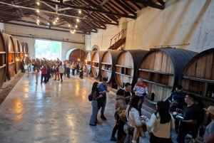 Мендоса: частный тур по винодельням с завтраком, игрой по смешиванию и обедом