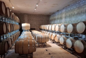 Мендоса: частный тур по винодельням с завтраком, игрой по смешиванию и обедом