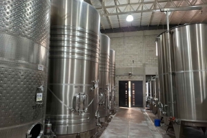 Мендоса: частный тур по винодельням с завтраком, игрой по смешиванию и обедом