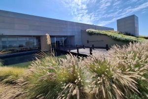 Мендоса: частный тур по винодельням с завтраком, игрой по смешиванию и обедом