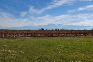 Мендоса: частный тур по винодельням с завтраком, игрой по смешиванию и обедом