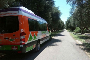 Mendoza: Round Trip Private Transfer to the Uco Valley