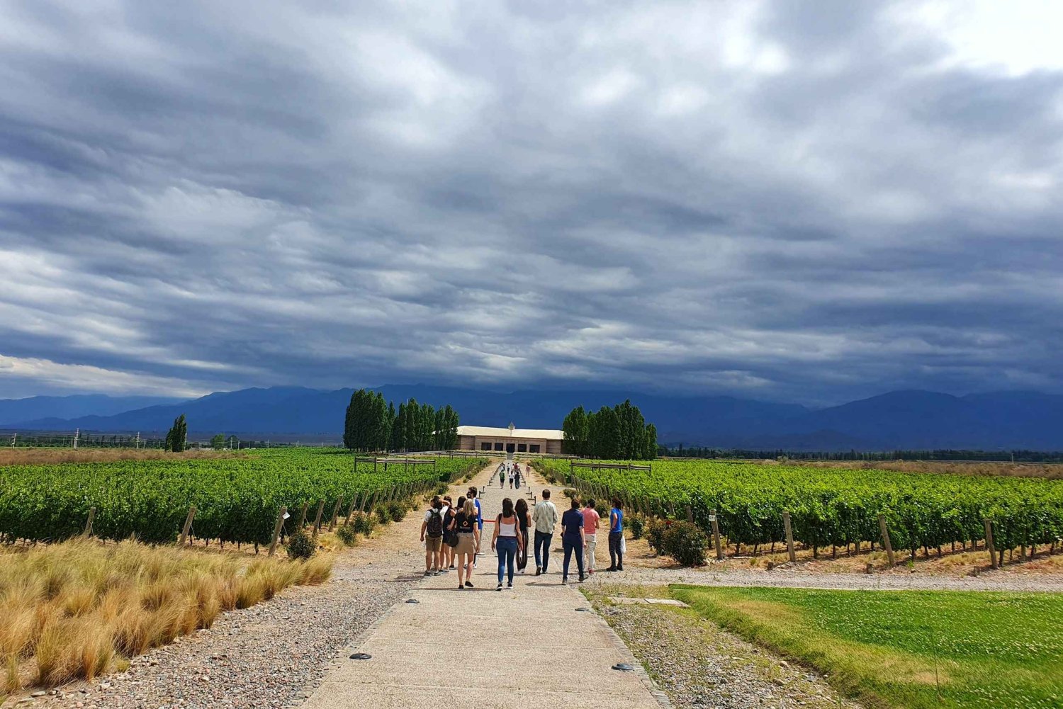 Mendoza: tour door wijnhuis Salentein, proeverij en optionele lunch