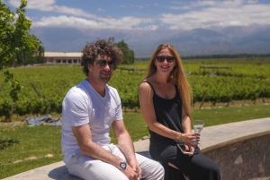Mendoza: zwiedzanie winnicy Salentein, degustacja i opcjonalny lunch