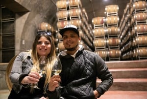 Mendoza: zwiedzanie winnicy Salentein, degustacja i opcjonalny lunch