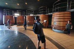 Mendoza: zwiedzanie winnicy Salentein, degustacja i opcjonalny lunch