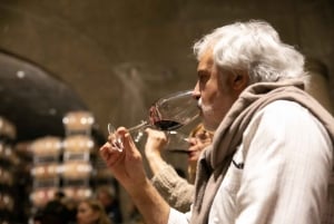 Mendoza: zwiedzanie winnicy Salentein, degustacja i opcjonalny lunch