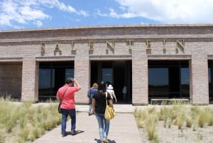 Mendoza: zwiedzanie winnicy Salentein, degustacja i opcjonalny lunch