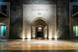 Mendoza: zwiedzanie winnicy Salentein, degustacja i opcjonalny lunch