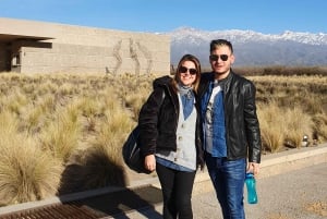 Mendoza: Salentein Weingut-Tour, Verkostung und optionales Mittagessen