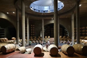 Mendoza: Salentein Weingut-Tour, Verkostung und optionales Mittagessen