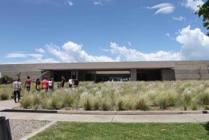 Mendoza: Salentein Weingut-Tour, Verkostung und optionales Mittagessen