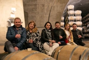Mendoza: Salentein Weingut-Tour, Verkostung und optionales Mittagessen
