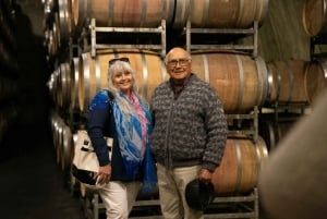 Mendoza: Salentein Weingut-Tour, Verkostung und optionales Mittagessen