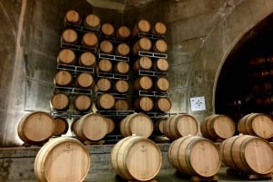 Mendoza: Salentein Weingut-Tour, Verkostung und optionales Mittagessen