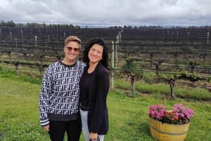 Mendoza: Semi-privat tur med alt inklusive!