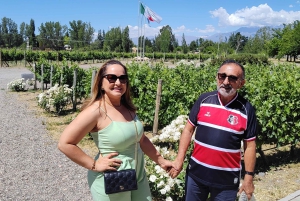 Mendoza: Semi-privat tur med alt inklusive!