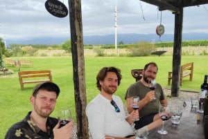 Mendoza: Semi-privat tur med alt inklusive!