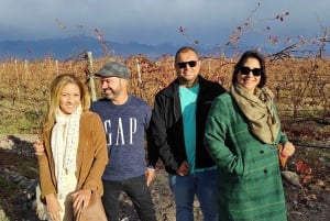 Mendoza: Semi-privat tur med alt inklusive!