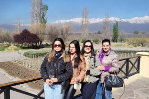 Mendoza: Semi-privat tur med alt inklusive!