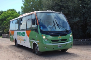 Mendoza: Delt 1-vejs eller transport t/r MDZ lufthavnstransport