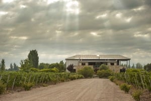 Mendoza: Mousserende vintur med smagninger og frokost