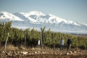 Mendoza: Mousserende vintur med smagninger og frokost