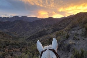Mendoza: Auringonlaskun ratsastus vuorilla ja grillaus.