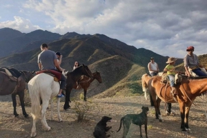 Mendoza : Randonnée à cheval dans les montagnes au coucher du soleil et barbecue