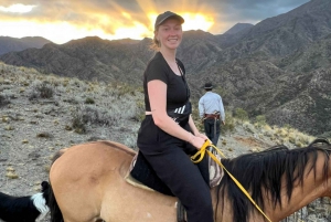 Mendoza: Hesteridning ved solnedgang i fjellene og grillfest